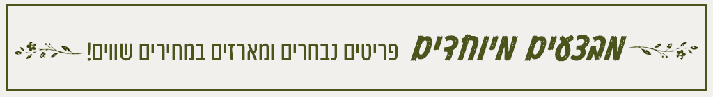 מבצעים מיוחדים באתר